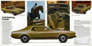 1973 Ford Mustang-08-09.jpg